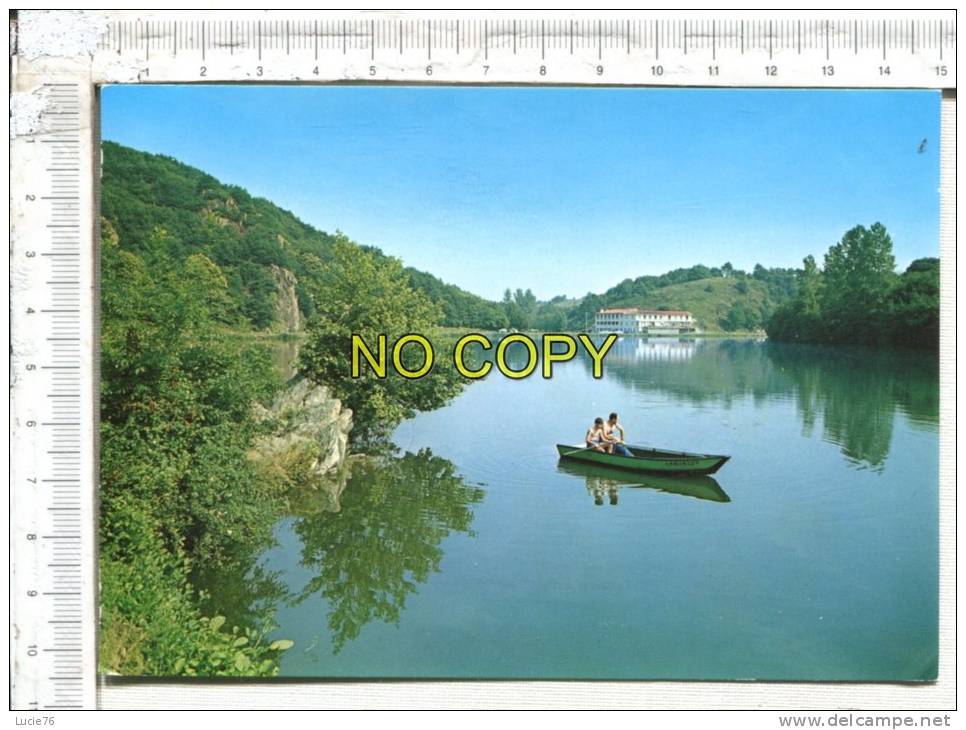 CHANTONNAY - LAC Du MOULIN NEUF Et L' Hôtel - Chantonnay