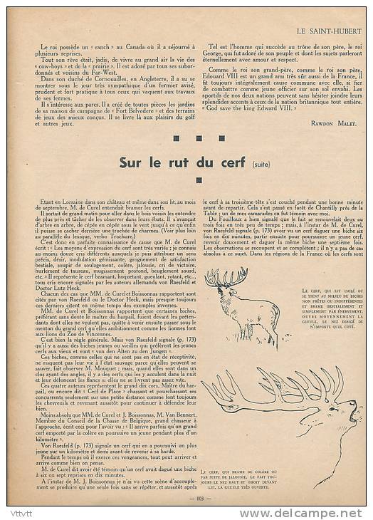 CHASSE "LE SAINT-HUBERT", N° 4 (1936) : Cerf, Rambouillet, Vénerie, Harles, Bécassines, Sologne, Chiens, Cynologie... - Jacht/vissen