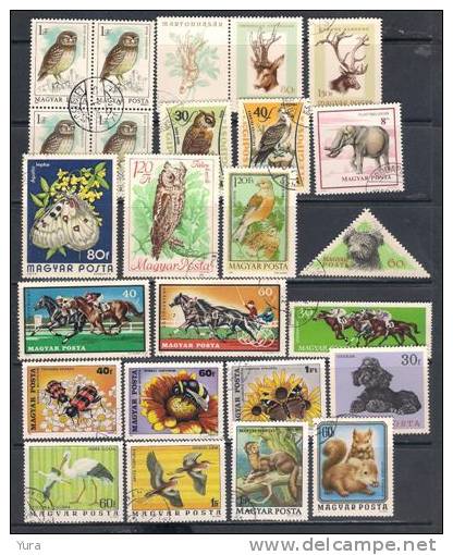 Lot 192 Hungary 500++  Without Dublicates MNH, Mint, Used - Collections
