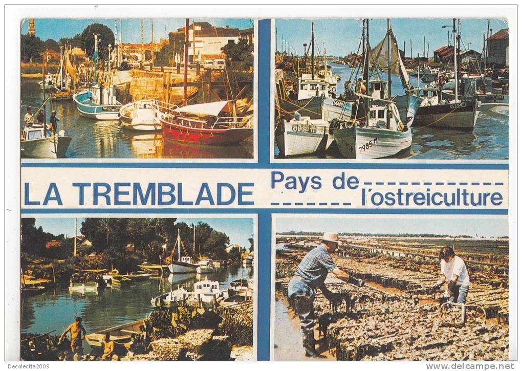 BR24259 La Tremblade Pays De L Ostreiculture    2 Scans - La Tremblade