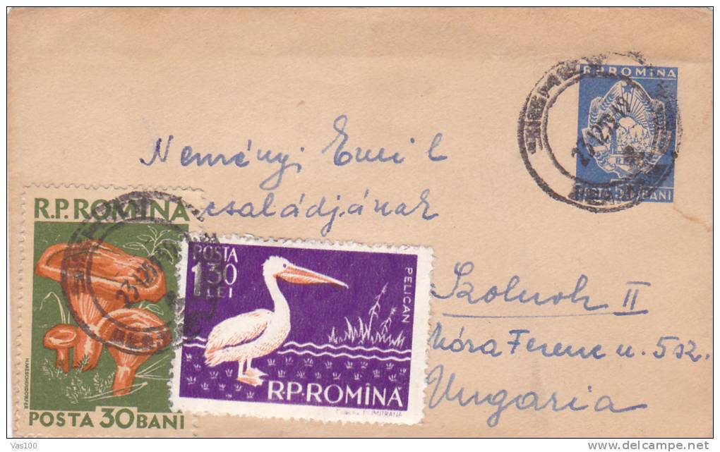 MUSHROOMS,PELICANS,LILLIPUT COVER,1959,STATIONERY, ENTIER POSTAL, SENT TO MAIL, ROMANIA. - Pélicans