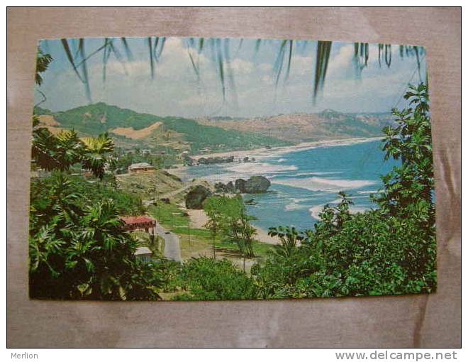 Bathsheba Coast - Barbados - W.I.  West Indies  D77807 - Barbades