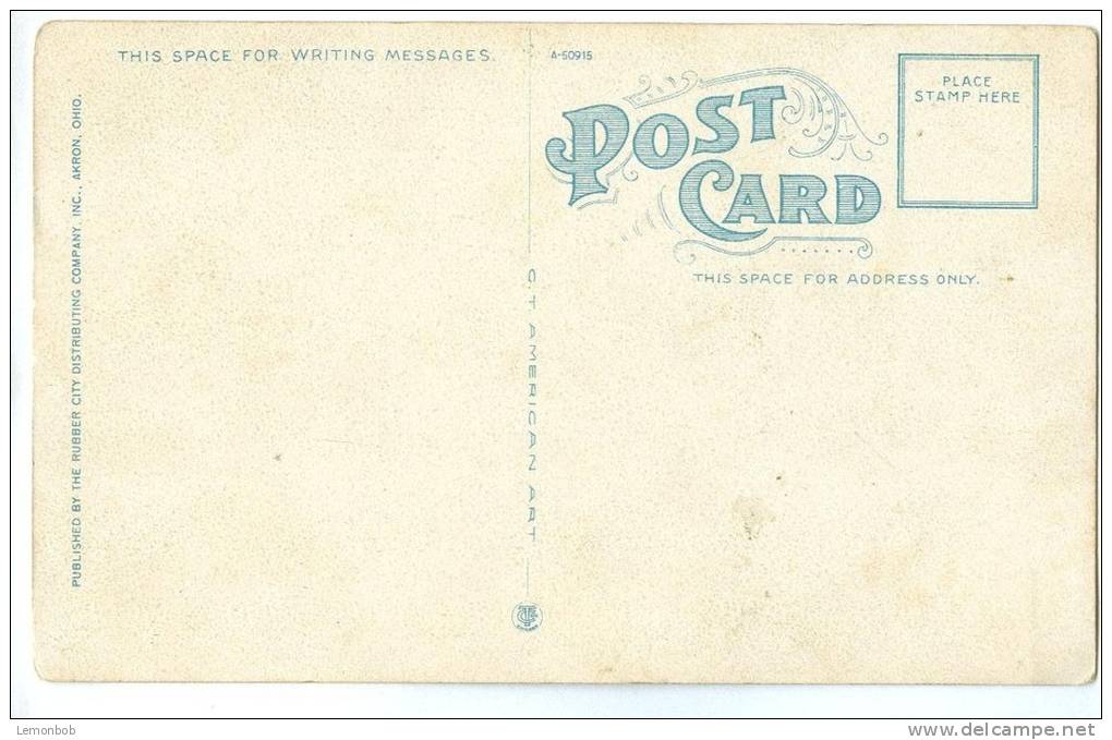 USA, Children's Home, Akron, Ohio, 1910s-1920s Unused Postcard [11503] - Akron