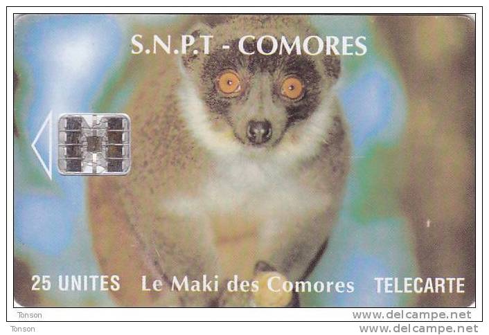 Comoros, KM-OPT-0008A, Le Maki Des Comores (SC7 - Without Moreno Logo), Monkey, 2 Scans.   No CN - Comores