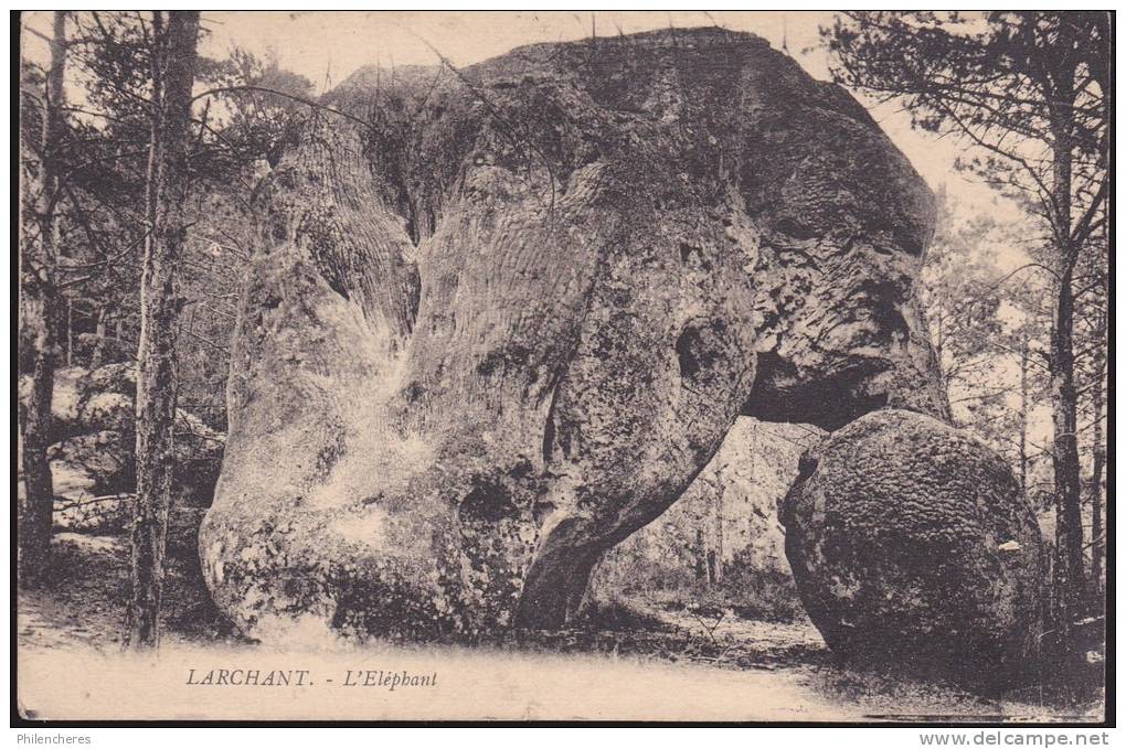 CPA - (77) Larchant - L'éléphant - Larchant