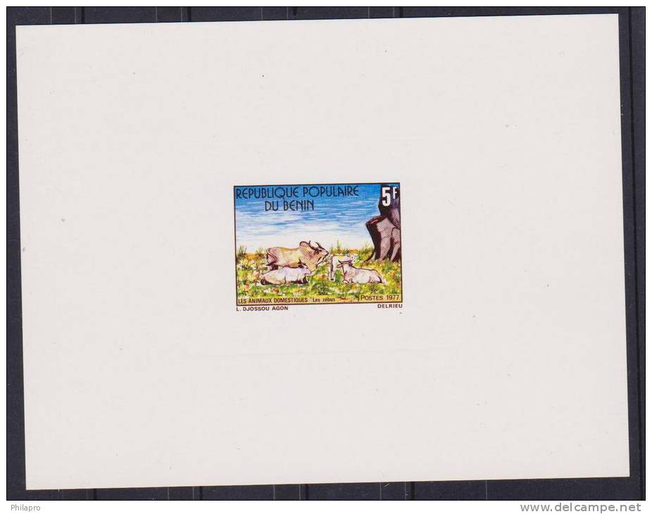 BENIN  EPREUVE/PROOF  ANIMAUX  VACHES  Yvert  N°391   Réf  2025 - Vaches