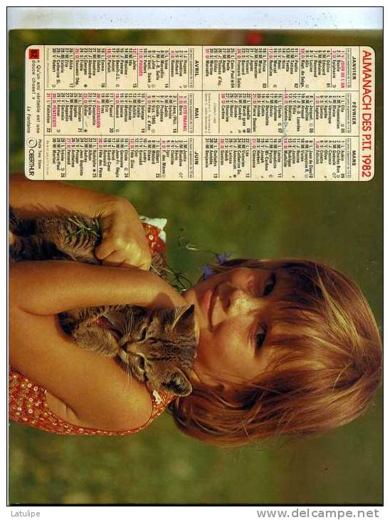 Calendrier  G-F  De La Savoie  73 - Grossformat : 1981-90