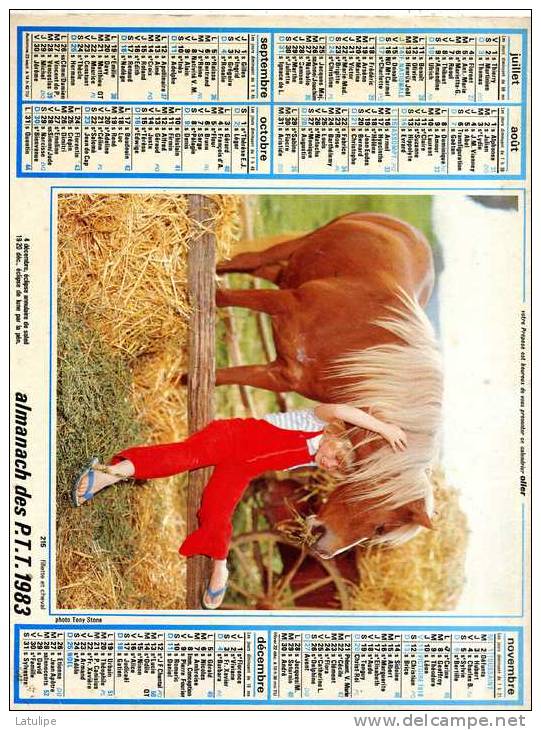 Calendrier  G-F  De La Region Parisienne -75-78-91-92-93-94-95  De 1983 - Grossformat : 1981-90