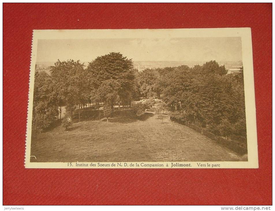 JOLIMONT  - Etablissement Des Soeurs De Notre Dame De La Compassion -  Vers Le Parc - La Louvière