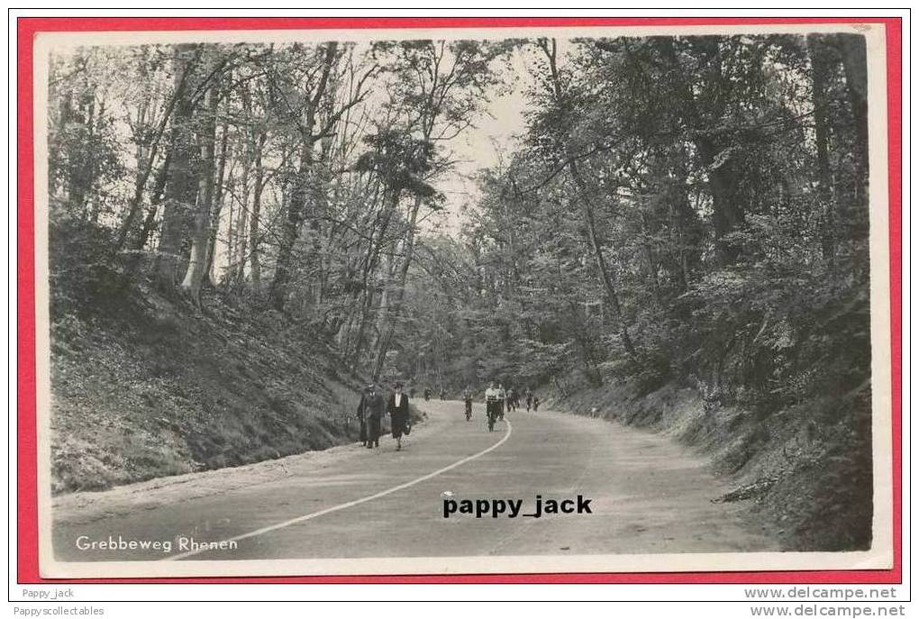 Nederland Rhenen Grebbeweg Real Photo, 5 Cent Green Gull  Stamp Forest Wood Path People Circulated - Rhenen