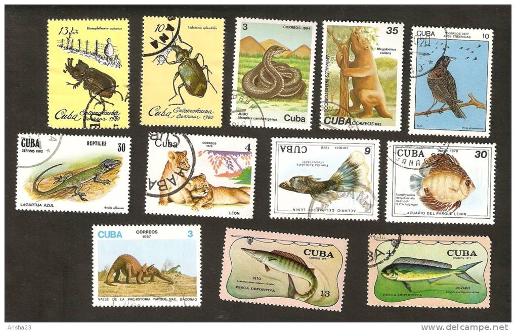 Bc.4. Cuba LOT Set Of 12 - FAUNA Animals 1977 Bird 1971 1978 Fish 1979 Lions 1980 Insects 1982 Reptiles Dinosaur 1984 - Oblitérés