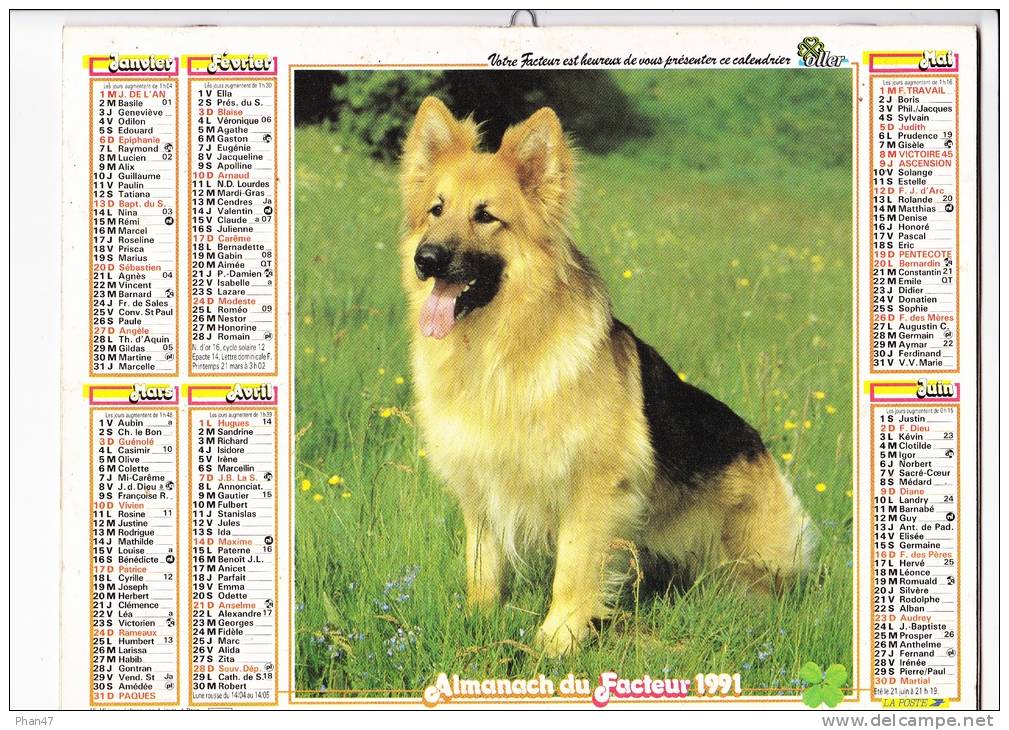 Almanach Du Facteur 1991, Berger Allemand, Chiots Beagles,  TOM Et JERRY,  Imprimeur OLLER - Grand Format : 1991-00