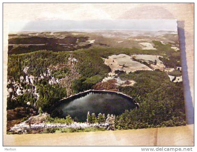 Feldsee Blick Vom Feldberg   D81194 - Feldberg