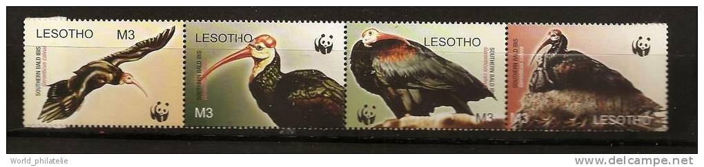 Lesotho 2004 N° 1781 / 4 ** WWF, Protection De La Nature, Animaux, Oiseau, Ibis Du Cap, Geronticus Calvus - Lesotho (1966-...)