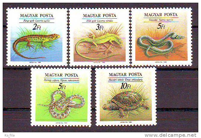 HUNGARY - 1989. Reptiles - MNH - Neufs