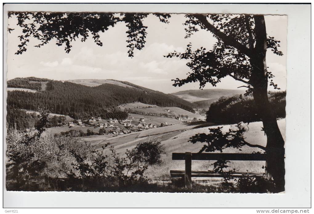 3541 SCHWALEFELD, Blick Vom Burgring 1970 - Korbach