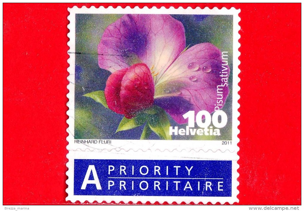 SVIZZERA - Usato - 2011 - Fiori - Fleurs - Flowers - Pisum Sativum - 100 - Used Stamps