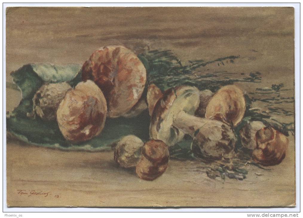 MUSHROOMS, Art Postcard, 1956. - Autres & Non Classés