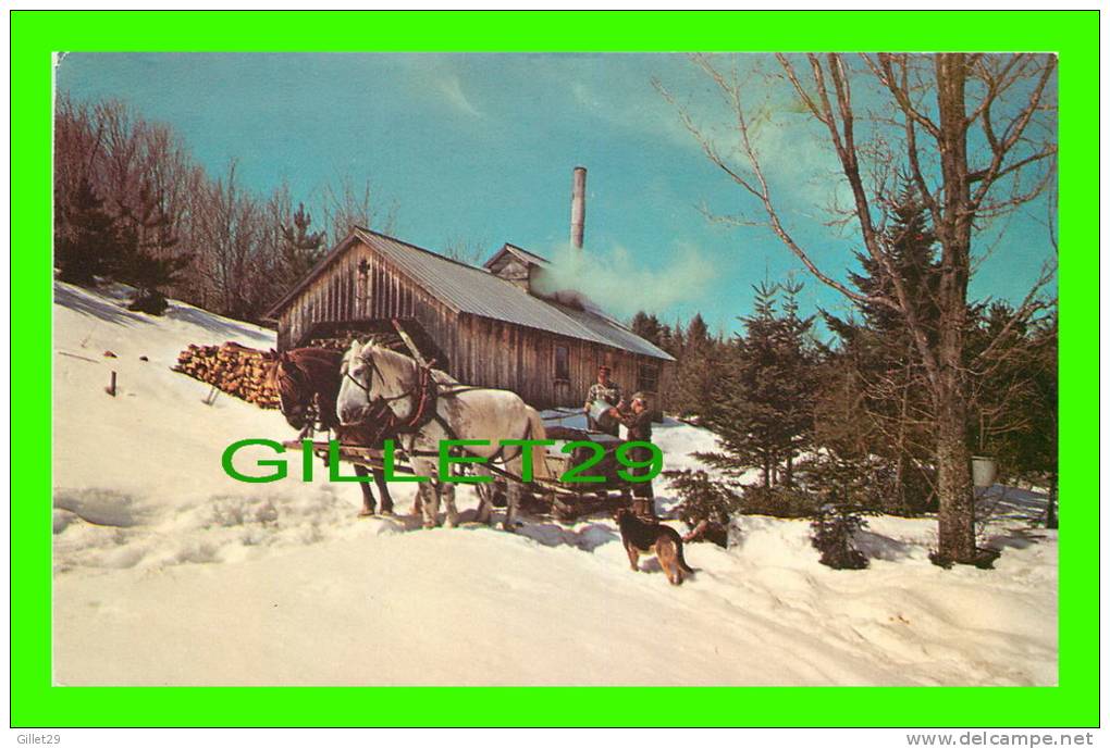 VERMONT, VT - THE MAPLE SUGAR TIME - SUGARING IN VERMONT - - Sonstige & Ohne Zuordnung