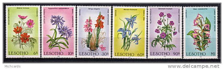 LESOTHO 1985 - Fleurs - Flowers - Blumen - Serie Neuve Sans Charniere (Yvert 651/56) - Lesotho (1966-...)