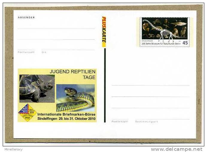 ENTIER POSTAL ALLEMAND TORTUE SERPENT SQUELETTE DINAUSORE - Tortues