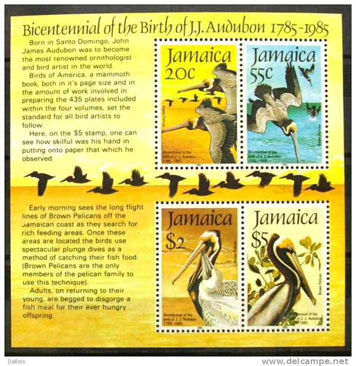 Jamaique -1985 - Bicentenaire De La Naissance De John Audubon - Birth Bicentenary Of John Audubon - Neufs - Pélicans