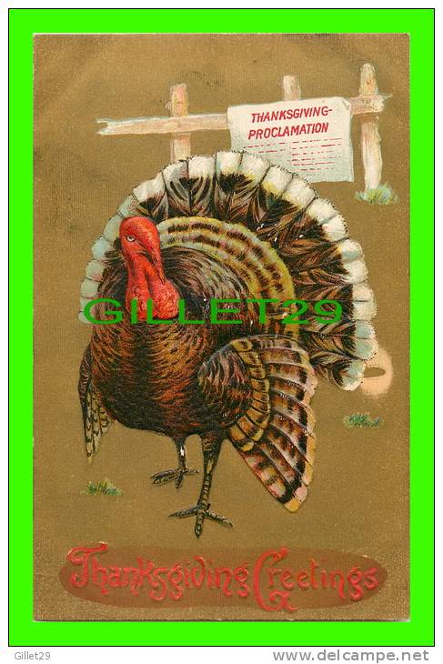 THANKSGIVING  GREETINGS - TURKEY - THANKSGIVING PROCLAMATION - EMBOSSED - TRAVEL  IN 1909 - - Thanksgiving