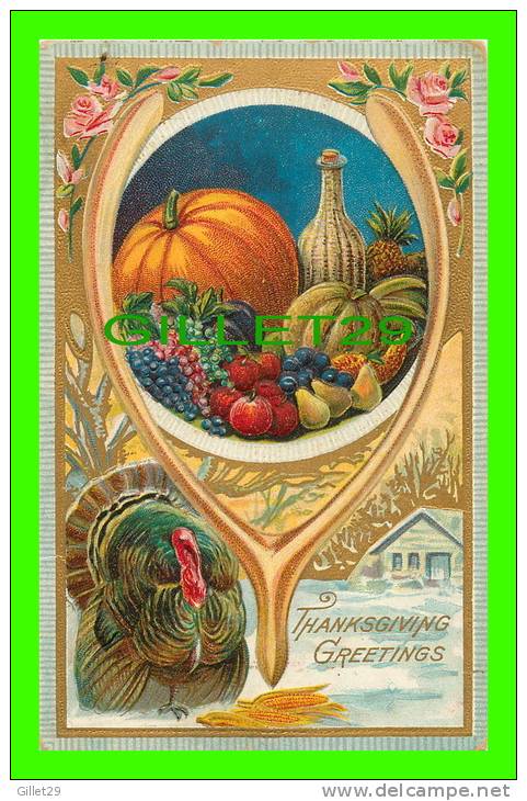 THANKSGIVING GREETINGS - TURKEY & FRUITS - WRITTEN - EMBOSSED - P. C. 226 - - Giorno Del Ringraziamento