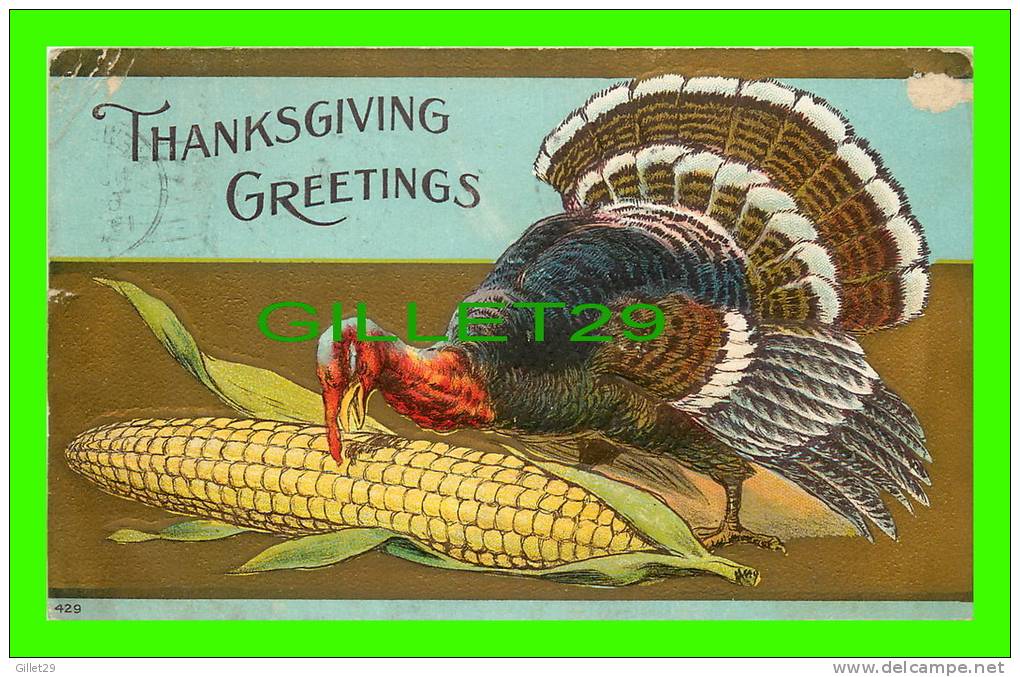 THANKSGIVING  GREETINGS - TURKEY HEATING CORN - TRAVEL IN 1909 - 3/4 BACK - EMBOSSED - - Thanksgiving