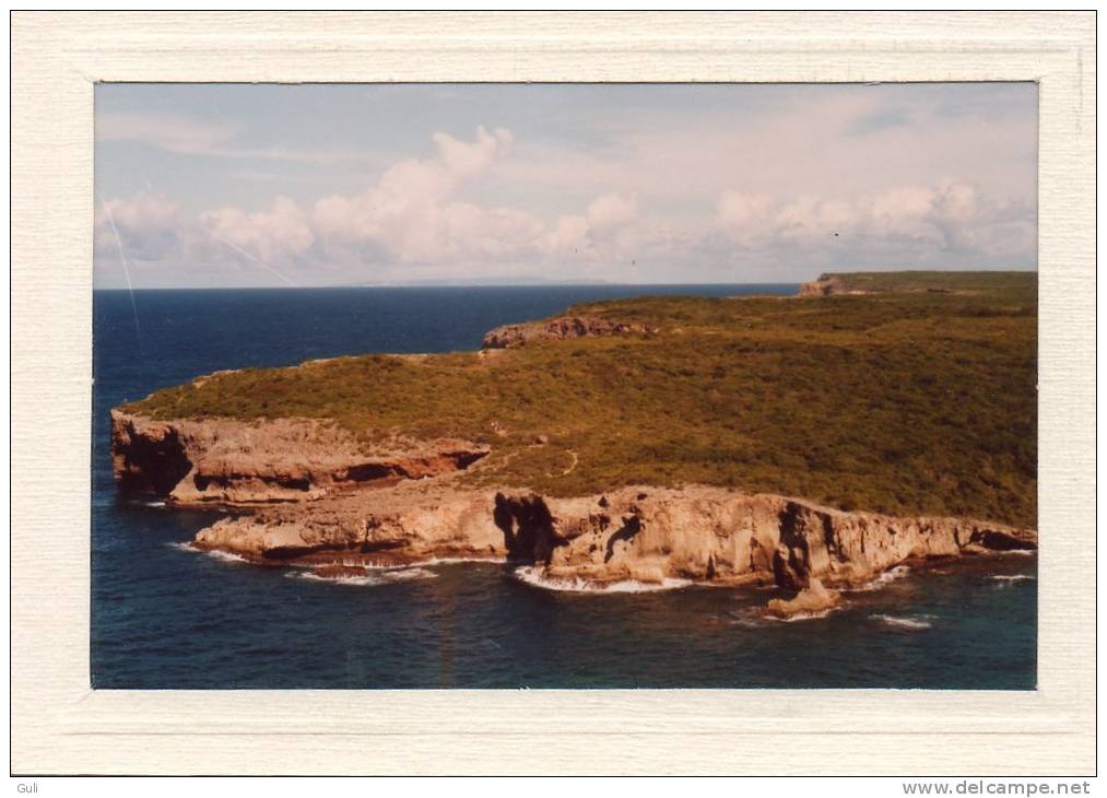 PHOTO  D'amateur " La GUADELOUPE  En 1982 " ( Photo Sur Un Support Carton Format 14.5 X 10.5 Cms) * PRIX FIXE - Places
