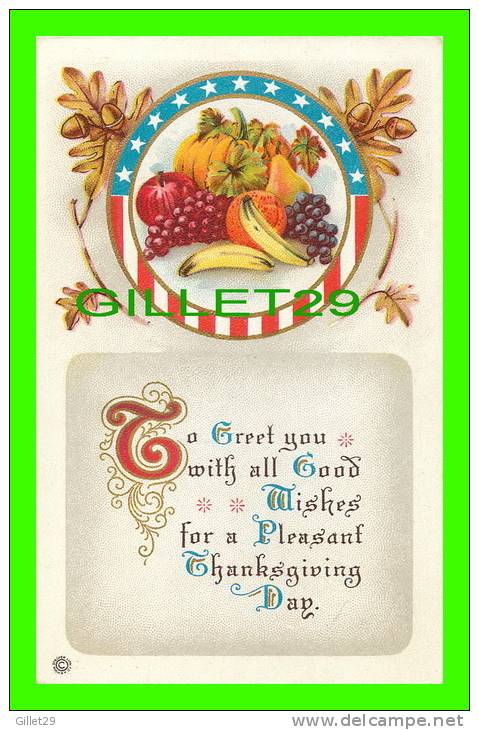 THANKSGIVING  DAY - FRUITS &amp; CORN - EMBOSSED - SERIES 253  D  - - Thanksgiving
