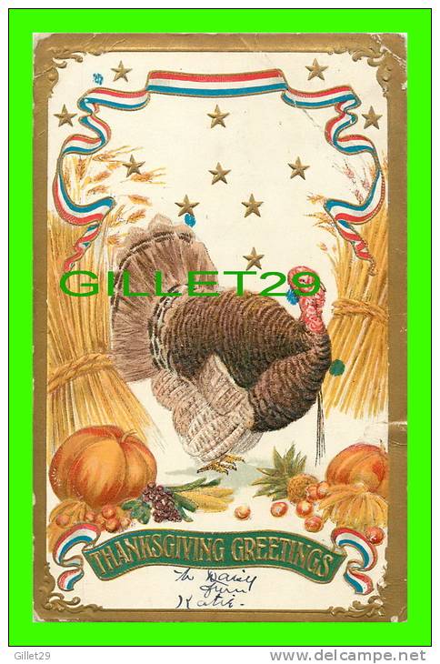 THANKSGIVING  GREETINGS  - TURKEYM PUNPKINS, FRUITS -  EMBOSSED - TRAVEL  IN 1907 - S.B. 269 - - Thanksgiving