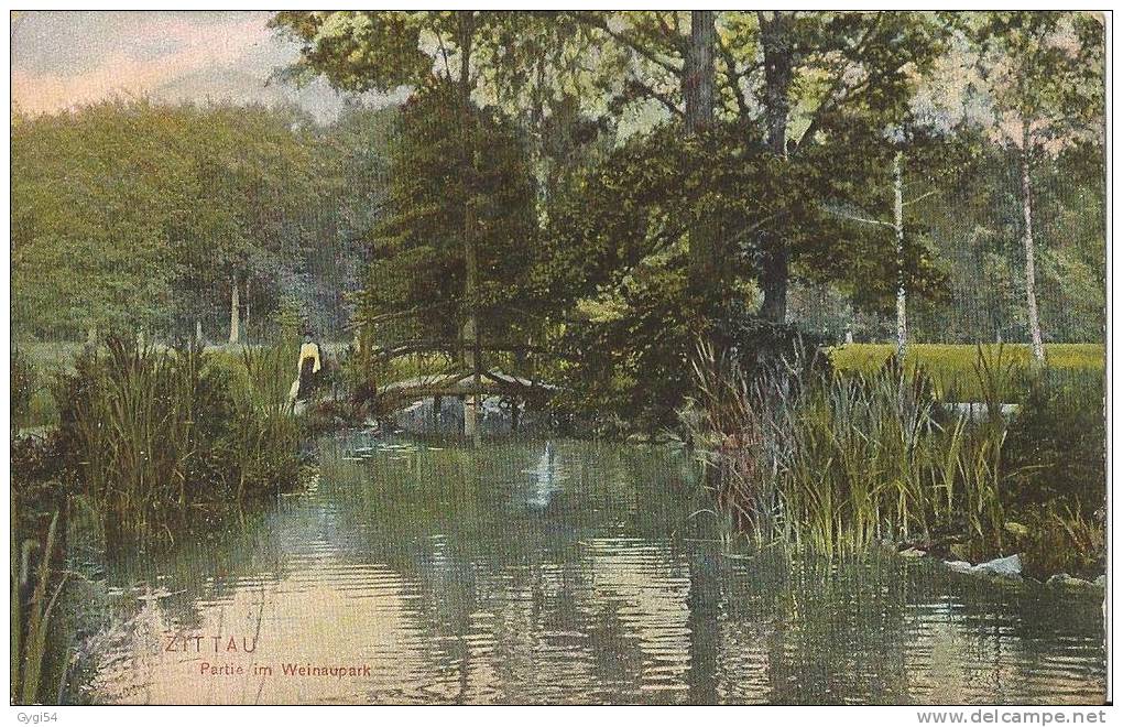 Zittau    Partie Im Weinau Park  Sachsen  AK 1907 - Zittau