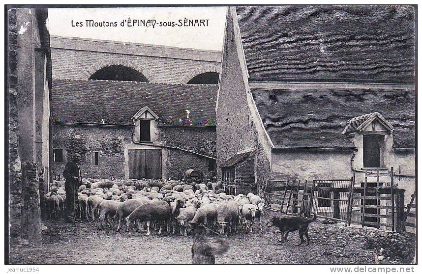 EPINAY SOUS SENART LES MOUTONS - Epinay Sous Senart