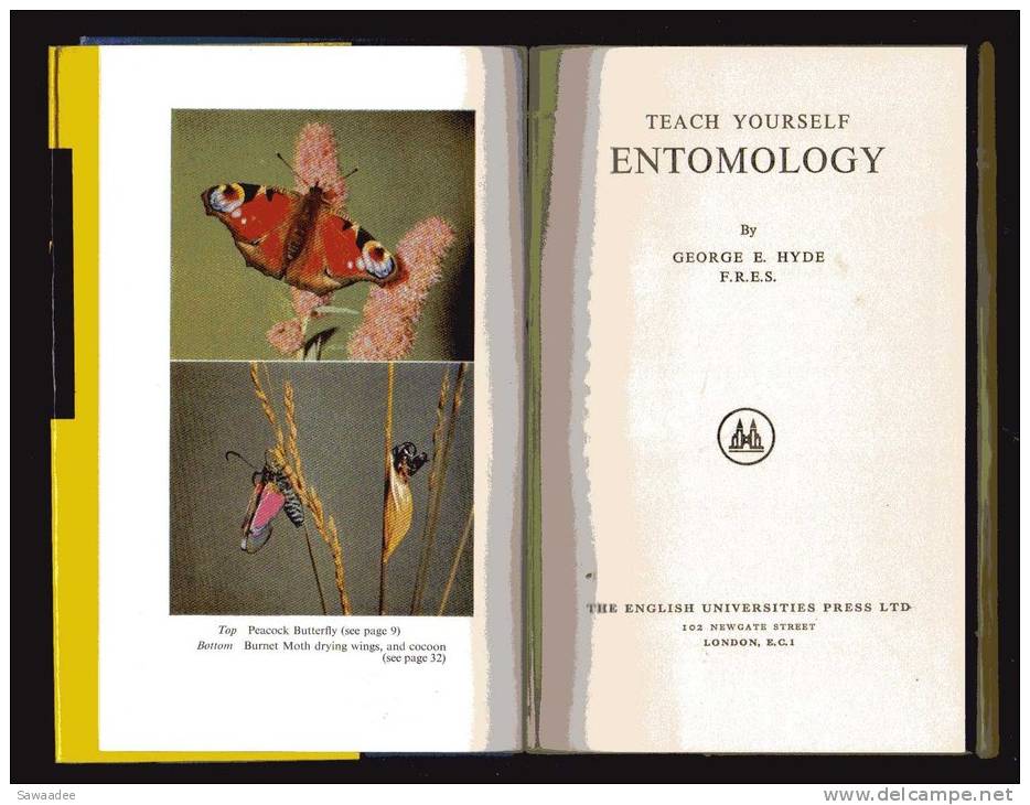 LIVRE - TEACH YOURSELF BOOKS - ENTOMOLOGY - GEORGE E. HYDE - 1961 - 158 PAGES - NOMBREUSES ILLUSTRATIONS - Otros & Sin Clasificación