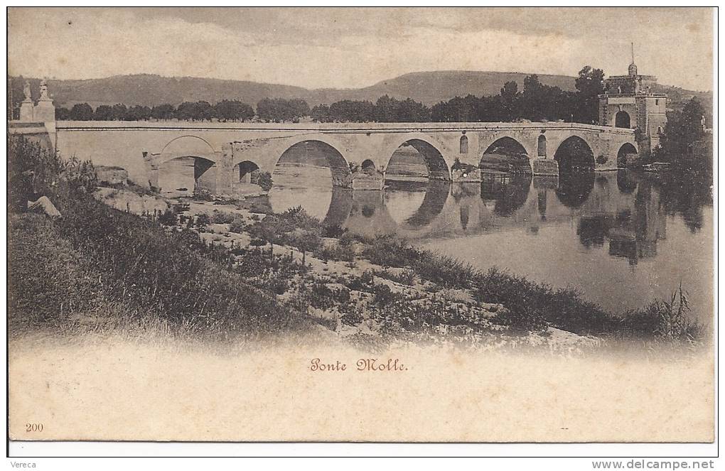 ITALIE-  ROMA- PONTE MOLLE- Precurseur 1900- SUP  RARE - Bridges