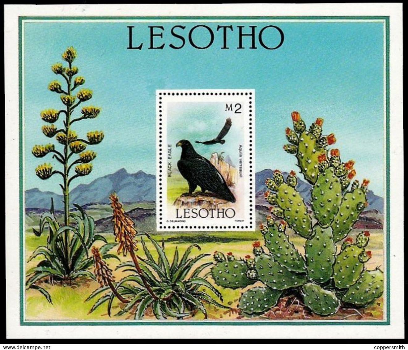 (013+20) Lesotho  Birds Of Prey / Oiseaux Rapaces / Greifvögel / Roofvogels   ** / Mnh  Michel 556-59 + BL 30 - Lesotho (1966-...)