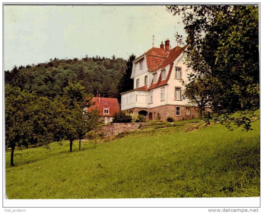 Rothau - Maison Mon Repos - Communauté Des Diaconesses De Strasbourg - Rothau