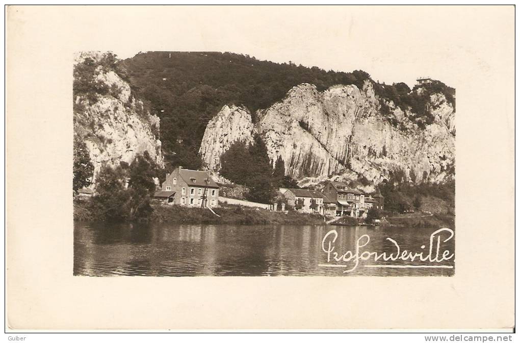 Profondeville Vue Des Rochers De Fresnes Carte Photo - Profondeville