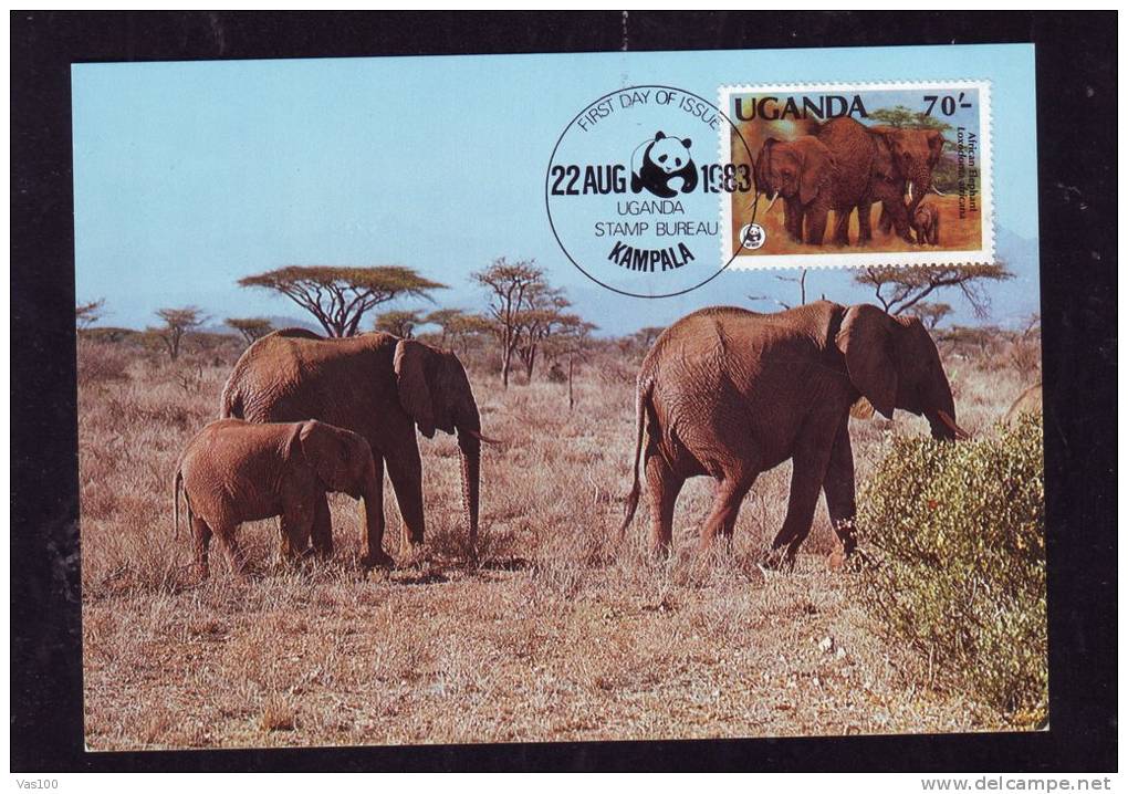 ELEPHANTS,CM,CARTES MAXIMUM,MAXICARD,1983,UGANDA - Elefanten