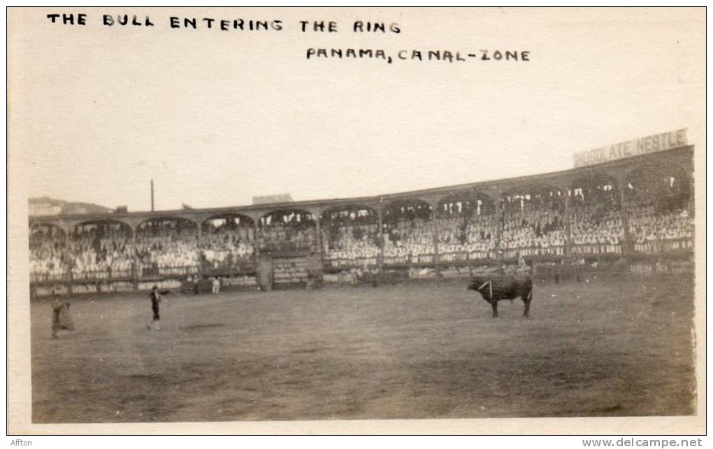 Bull Fight Panama Canal Zone Old Real Photo Postcard - Panama