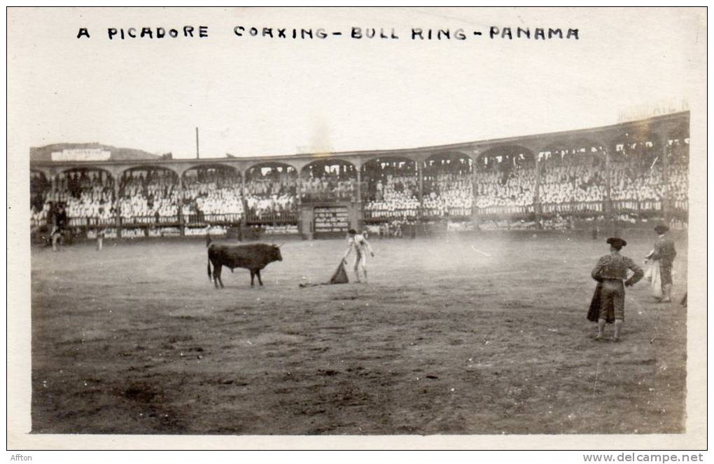 Bull Fight Panama Canal Zone Old Real Photo Postcard - Panama