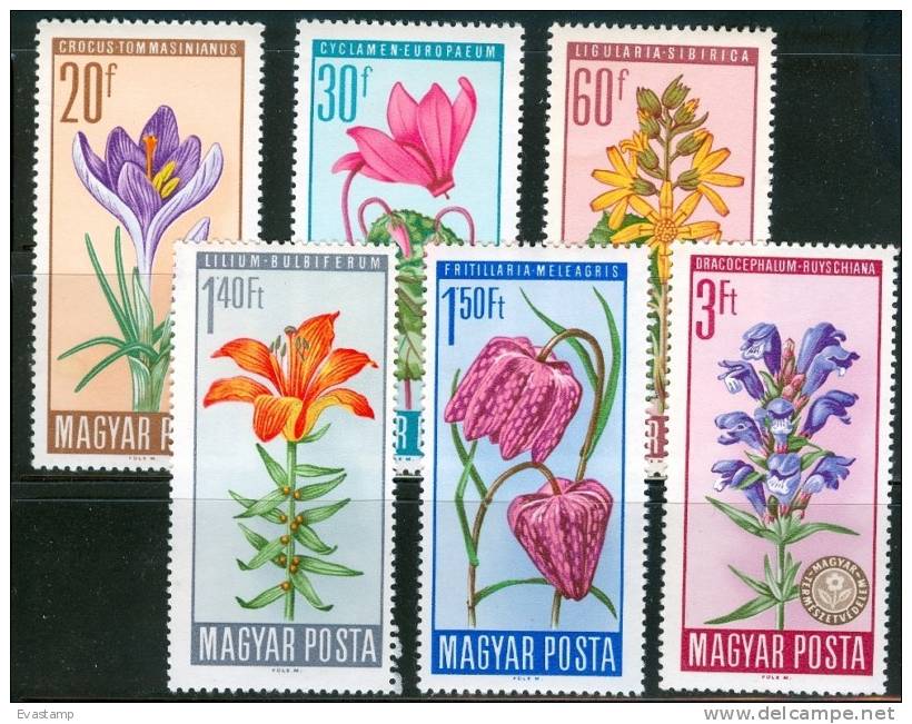 HUNGARY - 1966. Flowers Cpl.Set MNH! - Unused Stamps