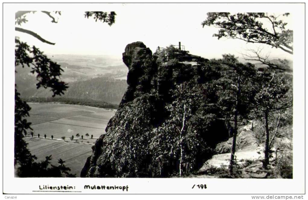 AK Lilienstein, Mulattenkopf, Ung, 1952 (Rathen, Königstein) - Rathen