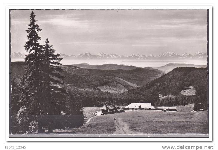 Feldberg 1964 Blick Auf Todtnauer Hütte Und Berner Oberland - Feldberg