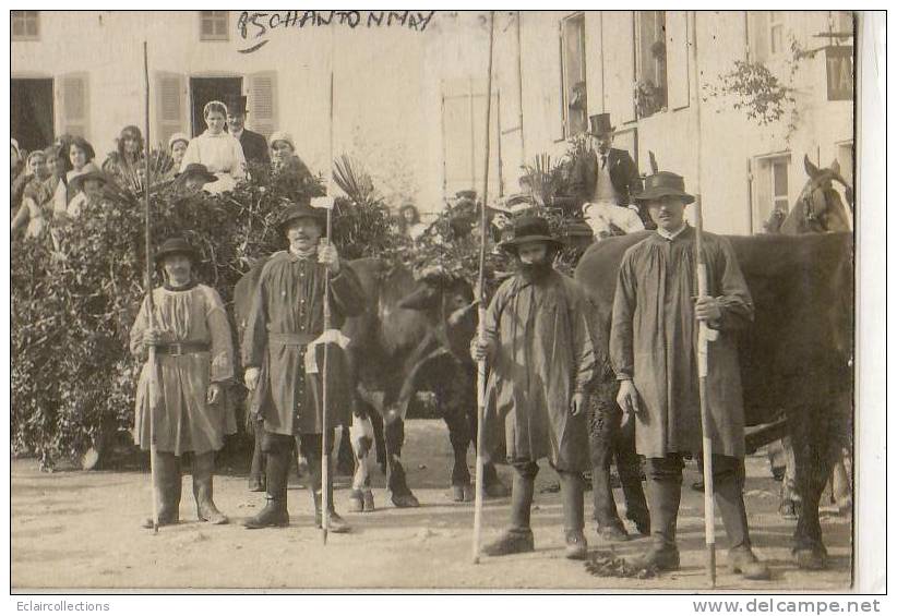 Chantonnay ?    85     Carte Photo  Cavalcade     Au Dos Photo Robin Chantonnay - Chantonnay