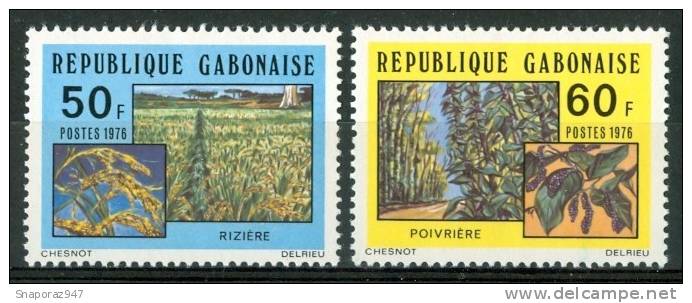 1976 Gabon Agricoltuta Agriculture Set MNH** Pa47 - Légumes