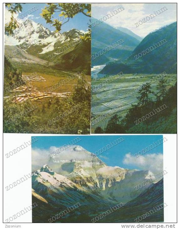 CHINA SCENIC TIBET 10 POST CARDS NEW TIBET VIEWS, BRIDGE, MOUNTAINS, SHEEPS,FARM, BIRDS, FLOWERS - Tibet