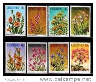 LESOTHO 1978 MNH Stamps Flowers 246-253 - Lesotho (1966-...)