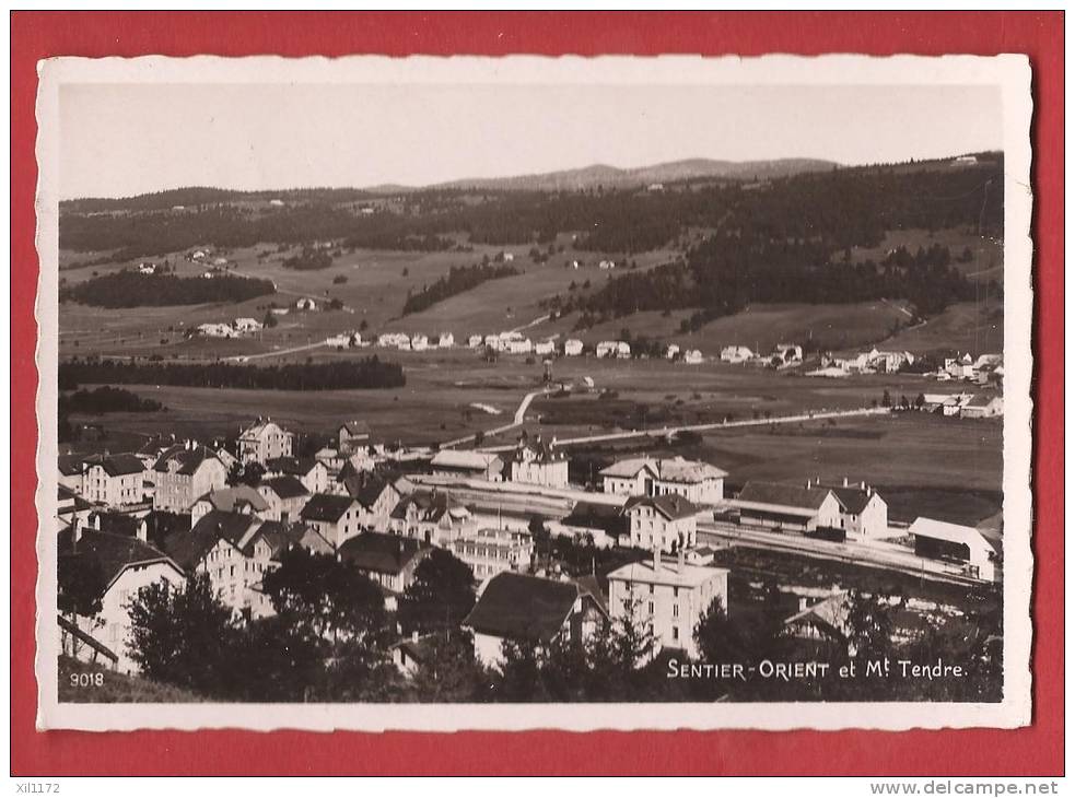 C0320 Val De Joux, Sentier-Orient, La Gare, Et Mont Tendre. En 1936.Perrochet-M. 9018 - Roche